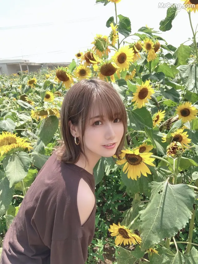 けん研