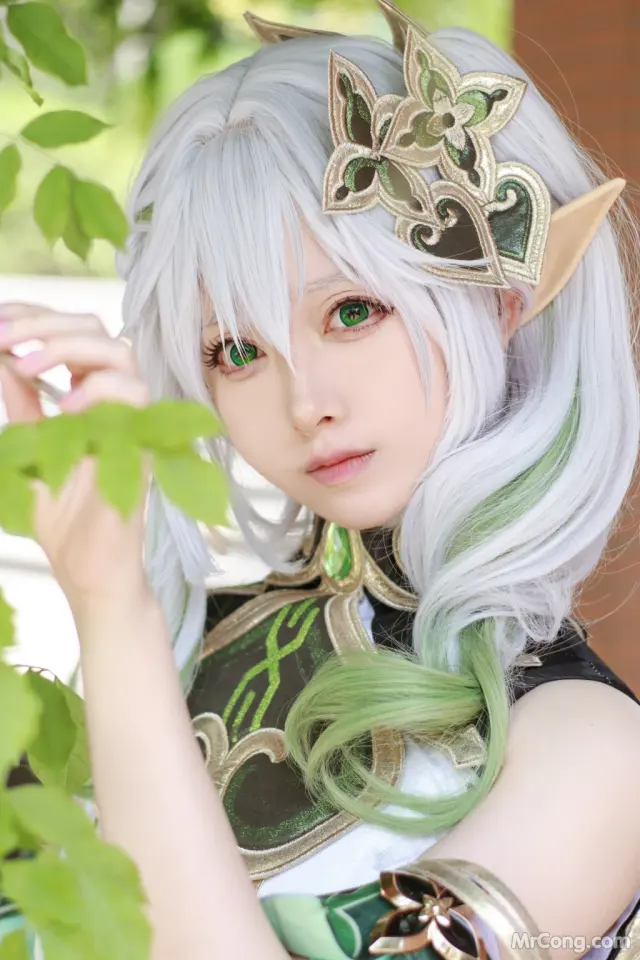 Coser@Asagiriai (愛ちゃん): 納西妲 (37 photos)