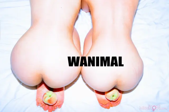 [OtherXXX] [WANIMAL王动] VIP套图 官方出品 No.11 (238 photos + 3 videos)