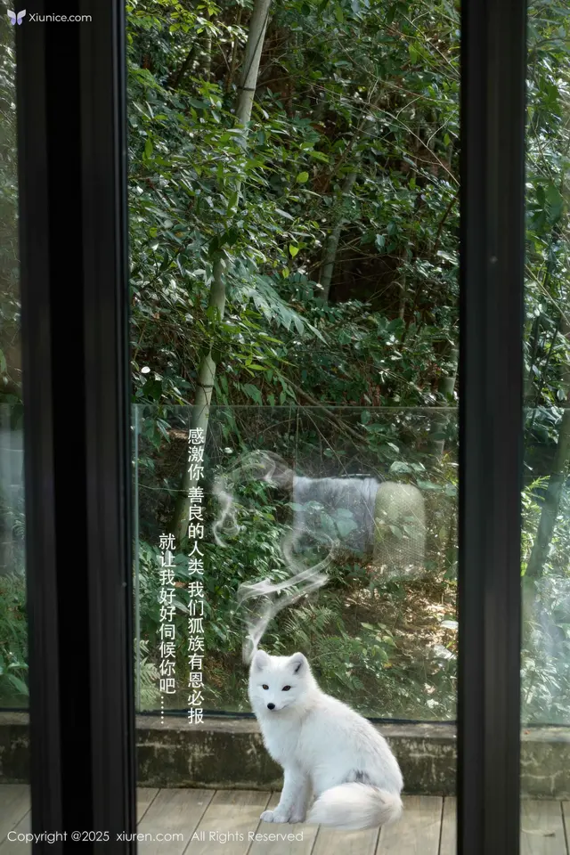 XIUREN No.11068: Yin Tian Tian (尹甜甜sunny)