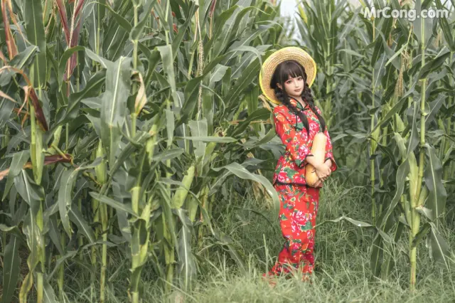 Coser@蠢沫沫 (chunmomo): The Story of Cornfield (50 photos)