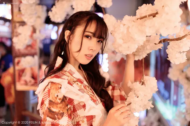 FEILIN Vol.360: 小波多