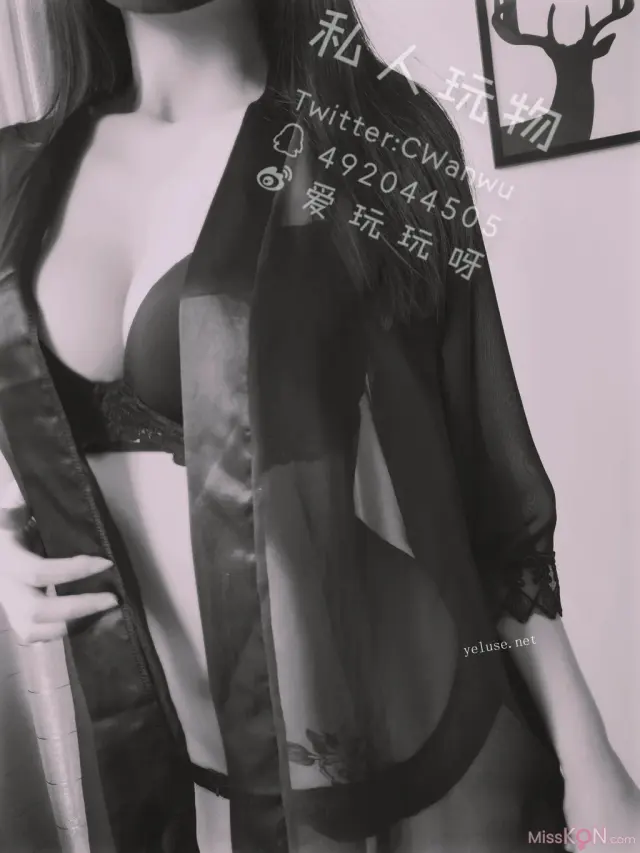 Coser@私人玩物: 性感透视情趣诱惑特辑 (46 photos + 4 videos)
